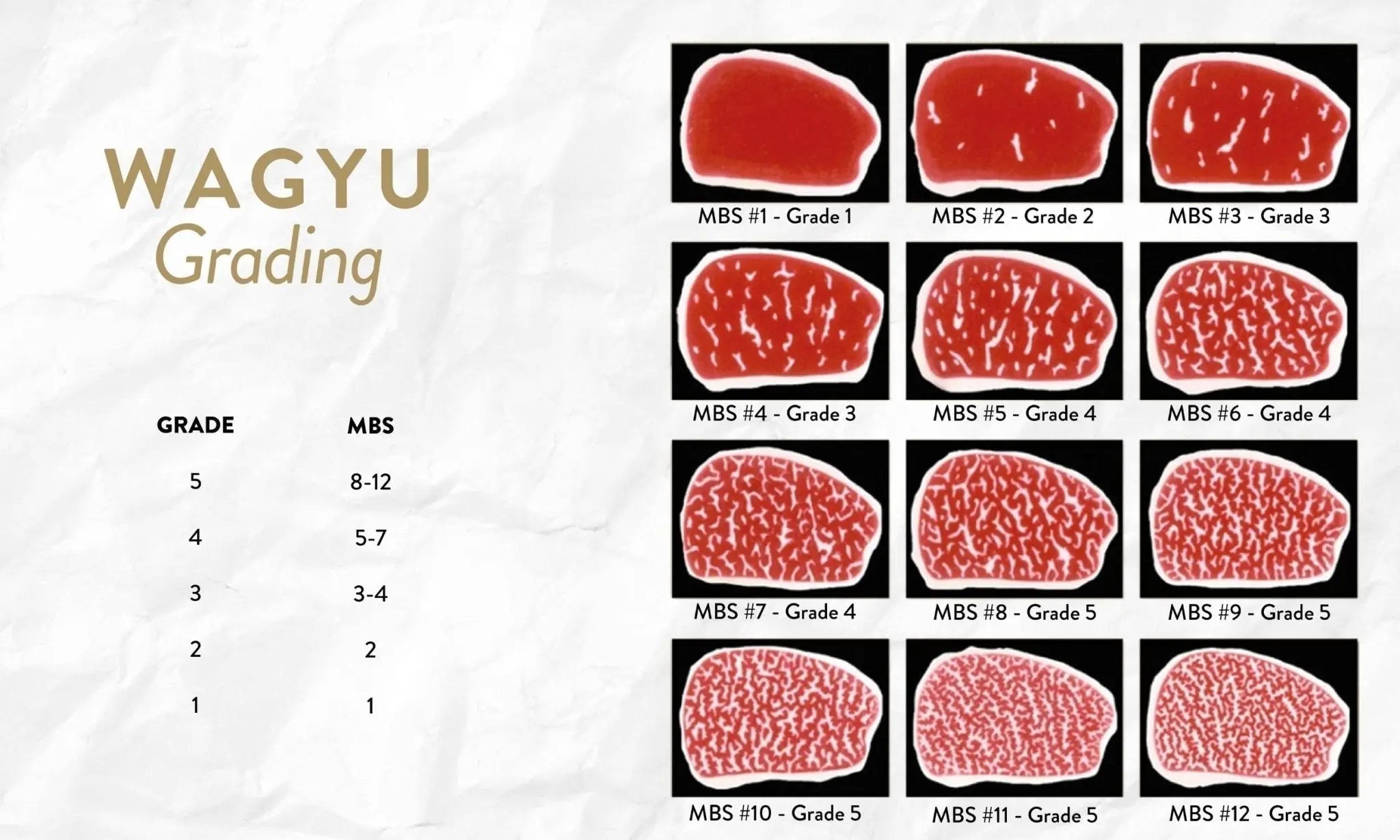 Understanding Wagyu Beef Grading: A3, A4, and A5 Wagyu Explained - Meats & Cuts